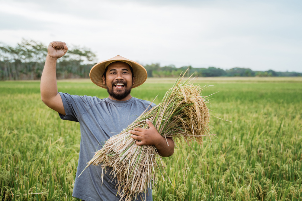 Vrihi Organic Promise